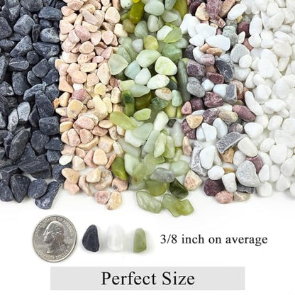 2lbs Black Gravel, 3/8 Inch Black Stones. Decorative Black Rocks for Succulent Plants, Vase, Cactus, Bamboo Plants and Outdoor Garden Landscaping
