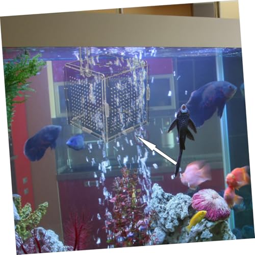 COLLBATH 1set Fish Isolation Box with Cups and Hook Acrylic Breeding Container for Fish Separation Tanks Design Prevents Jumping and