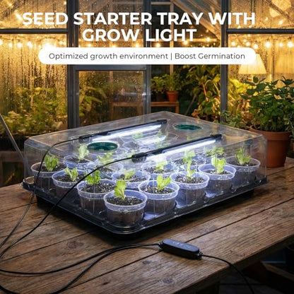 3 Inch Seed Starter Trays 2 Pack,20-Cell Seedling Starter Trays with Grow Light/Humidity Dome/3" Nursery Pots 40 Pcs,Planting Trays for Seedling,Plastic Germination Kit for Growing - size: 3 Inch, style: 2 Pack Tray+Pots+Dome+Grow Light