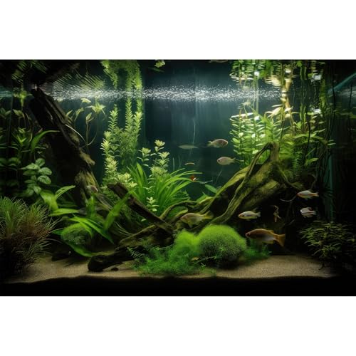 Underwater Aquarium Background Lush Green Diverse Aquatic Plants with Sunbeams Fish Tank Background Underwater Stone with Moss Tropical Fish Rooted Species Terrarium Background Vinyl 30x12in - color: Dark Green, size: 30(W)x12(H)in