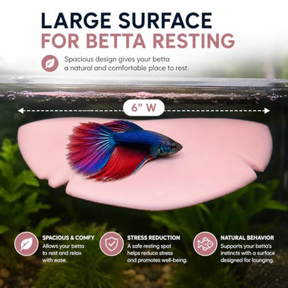 Aquarium Mushroom Hammock for Betta Resting, Aquarium Hideout Shelf with 2 Strong Suction Cups, Natural Betta Hammock & Resting Spot, Fish Safe Decor for Betta Tanks