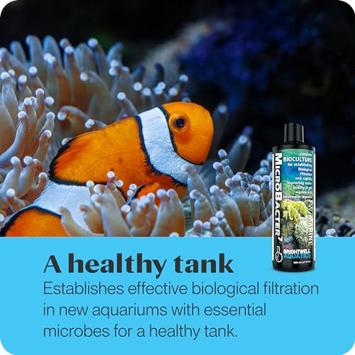 Brightwell Aquatics MicroBacter7 Biological Filter Bioculture Aid, 20L - size: 20-L