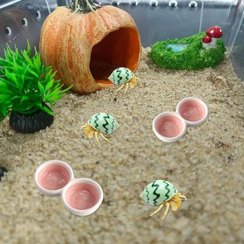 2 PCS Hermit Crab Food Dish Ceramic Hermit Crab Food Bowl Reptile Water Bowl Aquarium Accessory for Turtle Tortoise Lizard Snail Bearded Dragon Gecko