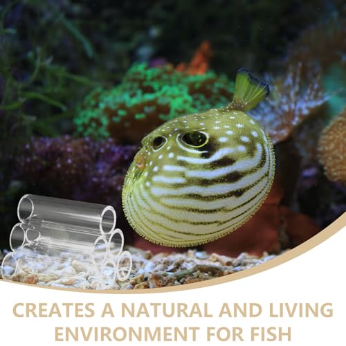 Abaodam 6holes Fish Shrimp Feeder Breeding Tube Acrylic Incubator for Aquarium Shelter and Shrimp Habitat Easy to Clean and Maintain for Fish and Aquatic Decor