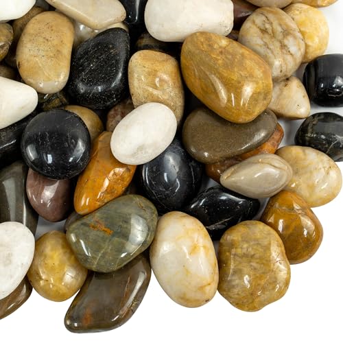 10lbs River Rocks, 2-3 Inch Large Pebbles for Indoor Plants, Natural High Polished Decorative Stones for Vase Filler Fish Tank, Mixed Color