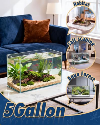 5 Gallon Ultra Clear Glass Fish Tank, Easy to Maintain Small Aquarium for Betta, Goldfish, Shrimp, Snails and Aquatic Plants - color: Transparent, size: 5 Gallon