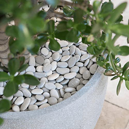White River Rocks for Plants 11.25 LB Small Decorative Pebbles 1"-1.5" Polished Stones Smooth Aquarium Gravel for Fish Tank Vases Indoor Planters Outdoor Landscaping Garden (180oz)