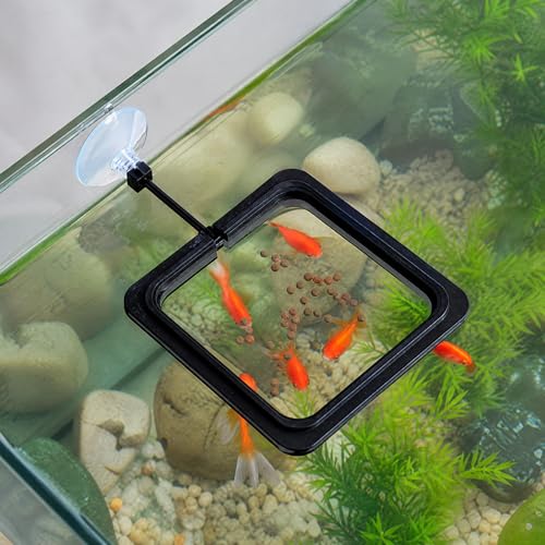 16 Pcs Fish Feeding Ring Combo Set, 4 Pcs Mixed Shape with Suction Cup + 12 Pcs Multi-Size Floating Ring, EVA Floating Plant Corral, Black Aquarium Feeding Ring for Fish Tank, Betta Fish Accessories