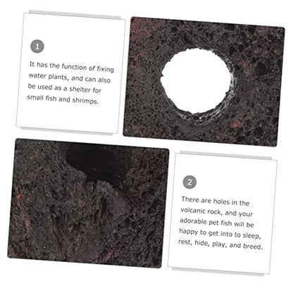 COLLBATH 10pcs Volcanic Plant Fixing Rings for Fish Tank Durable Aquarium Decoration Base for Water Plants Flexible and Easy to Clean for Aquariums
