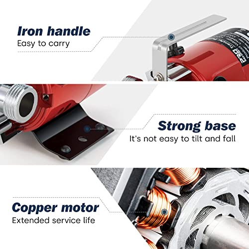 Utility Pump, Prostormer 1/10HP 120V Mini Portable Electric Water Transfer Pump 330GPH Plumbing Equipment with Water Hose Kit Great for Yard, Garden, Pool Draining