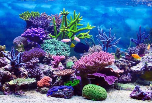 9x7ft Under The Sea Backdrop Underwater Seascape Coral and Fish Aquarium Photography Background Marin Ocean Diving Atoll Reef Summer Kids Birthday Artistic Portrait Photoshoot Studio Props - size: 9x7ft