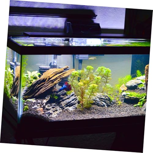 Shockproof Fish Tank Pad Thick Non Slip Aquarium Mat Durable Bottom Mat for Reptile Terrarium Compression Resistant Comfortable Environment