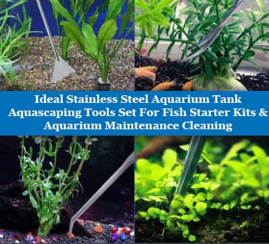 A2Z-Aquarium Tools Kit, 5 in 1 Long Stainless Steel Tweezers Scissor Spatula Multi Functional Aquarium Tank Tool Set for Fish and Aquatic Plants Trim Aquascaping Cleaning & Fish Kit