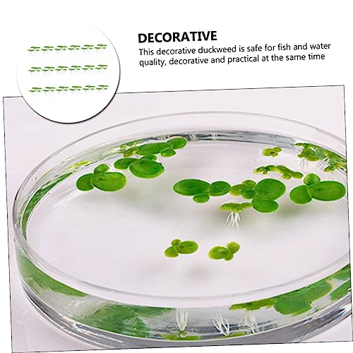 BESPORTBLE 54pcs Mini Fake Duckweed Aquarium Floating Plants Realistic Simulation Decor for Fish Tank Safe Lifelike Aquatic Grass Aquarium Landscape Bright Decoration