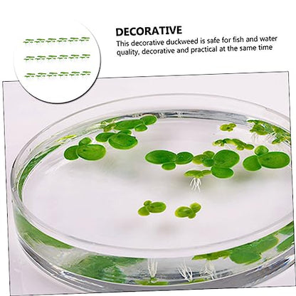 BESPORTBLE 54pcs Mini Fake Duckweed Aquarium Floating Plants Realistic Simulation Decor for Fish Tank Safe Lifelike Aquatic Grass Aquarium Landscape Bright Decoration
