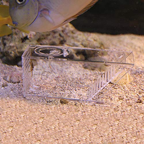 Hong Fish Trap Catcher Box, Fish Tank, Tasteless Safe for Fish Tank Aquarium