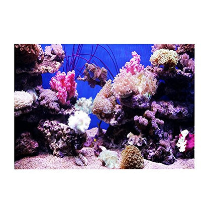 Fish Tank Background, 3D Effect Adhesive Coral Seaworld Poster, PVC Sticker Singel Sided Adhesive Wallpaper Background Poster Aquarium Wall Decorations(61 * 41cm) - size: 61*41cm