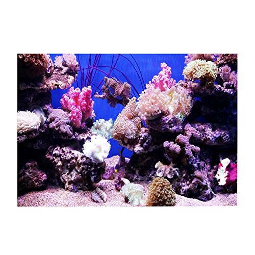 Fish Tank Background, 3D Effect Adhesive Coral Seaworld Poster, PVC Sticker Singel Sided Adhesive Wallpaper Background Poster Aquarium Wall Decorations(61 * 30cm) - size: 61*30cm