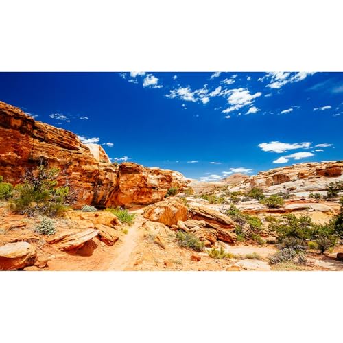 Desert Reptile Tank Background Blue Sky Rock Boulders Terrarium Background Desert Landscape Fish Terrarium Backgrounds Rocky Bush Reptile Enclosure Dragon BeardedTank Backdrop 48x24in