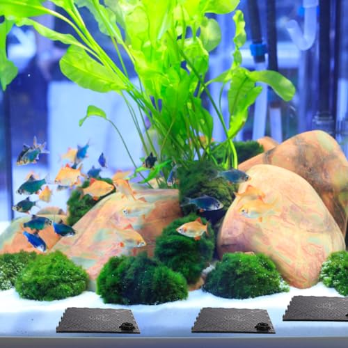 VANZACK 5 Pack Aquarium Filtering Plates 5.70X5.70X0.98In Fish Tank Bottom Filter Plate Divider Board Grid for Undergravel Filter System