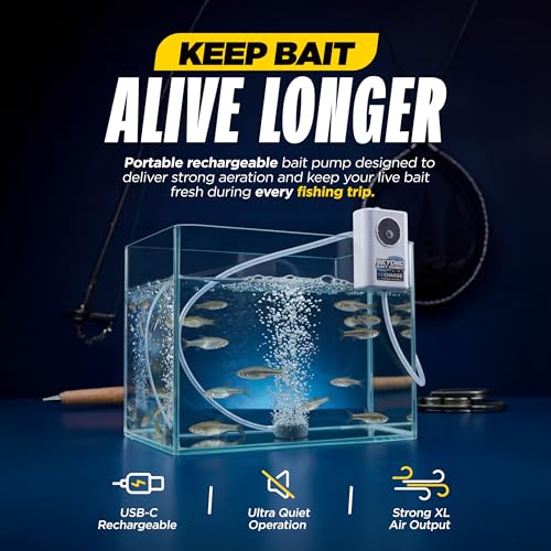 Beyond Fishing Mini Bait Pump with Fish Aerator – Portable Bait Bubbler, Rechargeable USB-C Compact Bubbler Pump for Live Bait