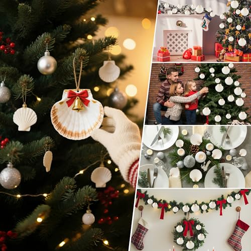 30PCS Natural Scallop Shells, 3 Size White Sea Shells for Crafts, 1.5"/2.3"/3" Real Seashells from Beach for DIY Painting Home Décor Wedding Ocean Beach Theme Party, Fish Tank and Vase Filler