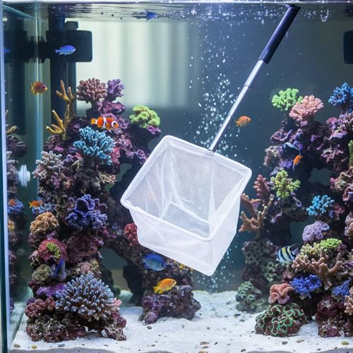 Aquarium Fish Net 3 Inch with Extendable Stainless Steel Handle Square Soft Fine Mesh Shrimp Net for Fish Tank, Stream, Pond