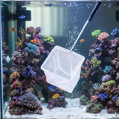 Aquarium Fish Net 3 Inch with Extendable Stainless Steel Handle Square Soft Fine Mesh Shrimp Net for Fish Tank, Stream, Pond