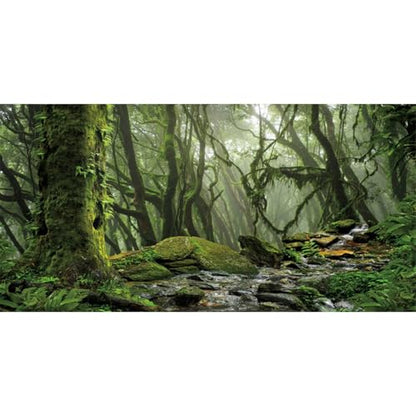 AWERT Foggy Forest Terrarium Background Stream Green Huge Tree Reptile Habitat Background Tropical Rainforest Aquarium Background 72x18 inches Durable Polyester Background