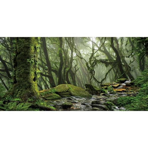 AWERT Tropical Forest Terrarium Background Stream Green Huge Tree Reptile Habitat Background Foggy Rainforest Aquarium Background 48x18 inches Durable Polyester Background - size: 48 x 18 inches