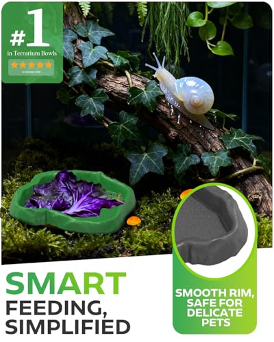 4Pcs Snail Food and Water Bowl, Reptile Water Dish and Food Bowl, Natural Design Terrarium Feeding Dish for Garden Snails, Hermit Crab, Lizard, Frog, Gecko (Black, Green)