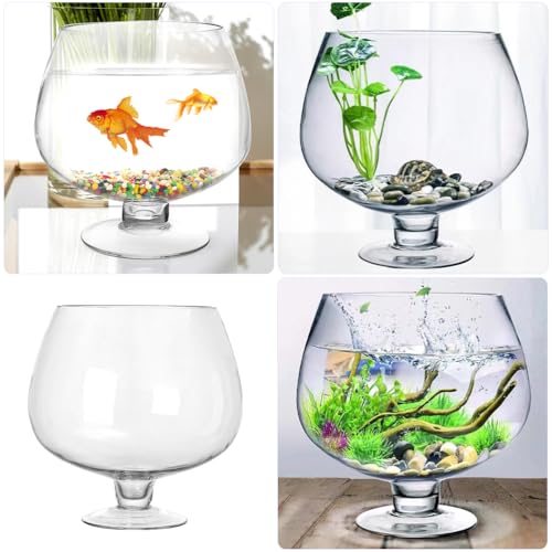 BESPORTBLE Glass Fish Bowl Vase - Clear Bubble Planter Terrarium Fish Bowl Wine Goblet Shaped Vase Transparent Hydroponic Bulb Floral Container