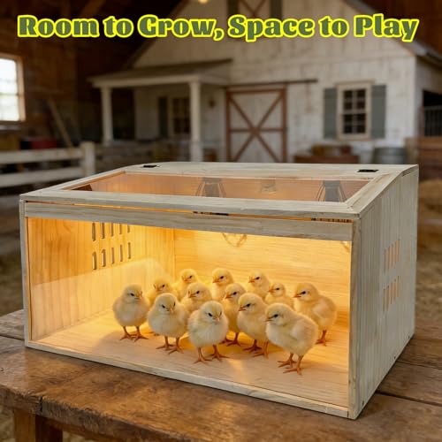 20-Piece Large Chicken Brooder Box, All-in-One Kit Brooder Box, Brooder for Chicks, Quail, Hamsters, Up to 35 Chicks Capacity, Pattern B, 31.5" L x 15.7" W x 15.7" H - size: 31.5"L x 15.8"W x 15.8"H
