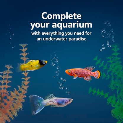Aqueon Fish Tank Aquarium Essentials Starter Kit for 10 Gallon Tanks - size: 10 Gallon