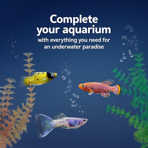 Aqueon Fish Tank Aquarium Essentials Starter Kit for 29 Gallon Tanks - size: 29 Gallon