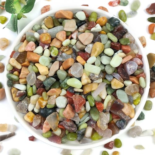 2LB Succulent and Cactus Colorful Pebbles, 3/8 Inch Pebbles for Indoor Plants, Natural Decorative Polished River Rocks for Vases, Planters and Outdoor Gardening - color: Colorful, size: 2 Pounds