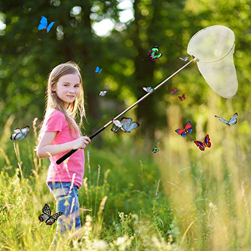 Insect and Butterfly Net with 12" Ring, Net Handle Extends to 59 Inches for Adults & Kids