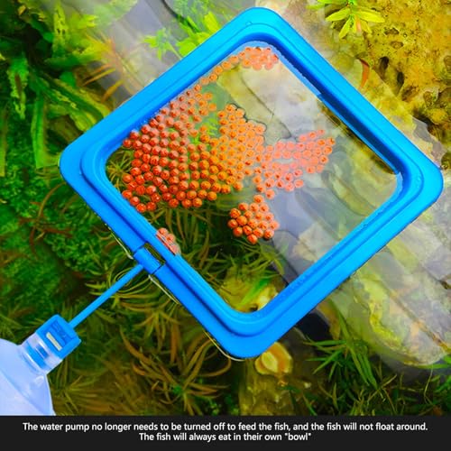 2pcs Fish Tanks Feeding Rings Small Fishes Feeders Rings Circles Buoyance Fish Feeders for Easy Installation and