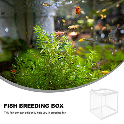 Yardwe Hatching Box for Aquarium Fish Breeding Mesh Incubation Kit Fish Isolation Box Easy Cleaning