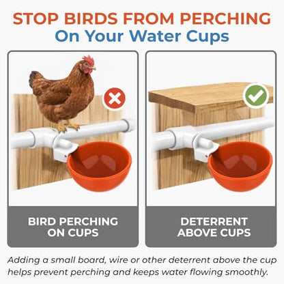 Lil'Clucker Large Automatic Chicken Waterer Cups with 1/2" PVC Tee Fittings - Chicken Water Cups, Chicken Water Feeder, for Chicks, Duck, Goose, Turkey - Poultry Waterer Feeder Kit (Orange, 5-Pack) - size: 5-Pack