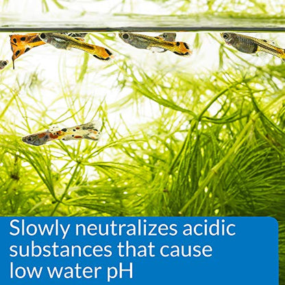 API pH UP Freshwater Aquarium Water pH Raising Solution for fish,4-Ounce Bottle, Brown - size: 4 oz