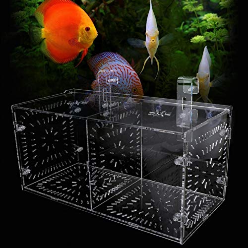 Fish Isolation Breeding Box Acrylic Incubator Floating Aquarium Hatchery Breeding and Parenting Box for Fish Aquarium(30CM*15CM*15CM)