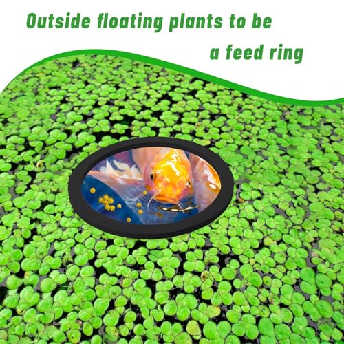 Aquarium Floating Plant 5/10Pcs Floating Plant Holder Fish Feeding Rings for Fishtanks 80-200mm Pet Supplies