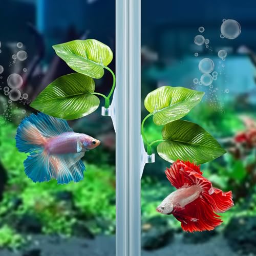 4 Pack Betta Fish Leaf Pad Improves Betta's Health by Simulating the Natural Habitat - Natural, Organic, Comfortable Rest Area for Fish Aquarium - size: 4 Pack