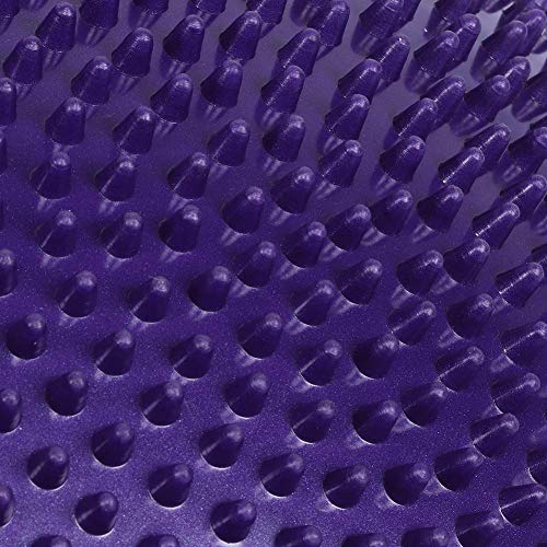 2PCS Balance Disc Inflated Wobble Cushion, Wiggle Seat Balance Pad Purple Soft Yoga Balance Board Without Inflator Pump for Exercisehome Yoga Balance Stability Training