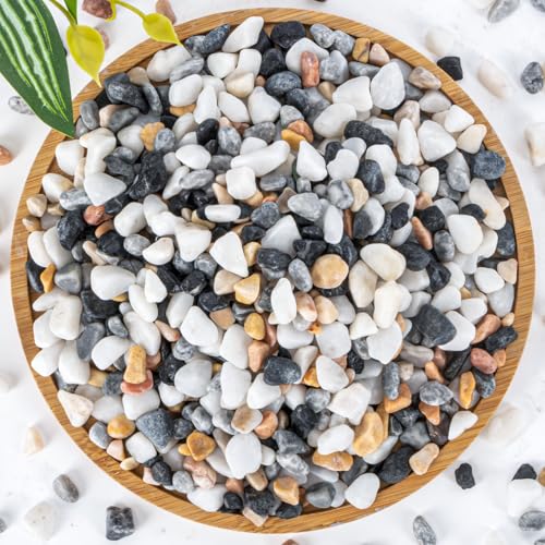 Sukh Mixed Color Pebbles for Succulent and Cactus - 420G 1/5 Inch Succulent Cactus Gravel Pebbles,Natural Decorative Polished River Stones,Small Rocks for Outdoor Gardening,Vases,Landscaping,Fish Tank