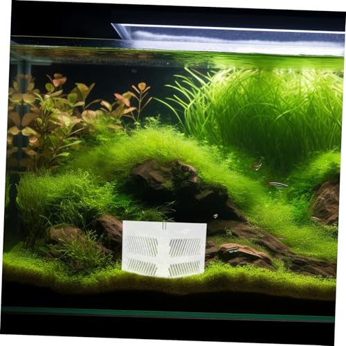 Toyvian Aquarium Divider Tray Acrylic Fish Tank Grid for Clean Healthy Environment