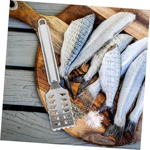 COLLBATH Stainless Steel Fish Scale Shaver with Lid Fast Cleaning Fish Skin Remover Comfortable Grip Effortless Use Seafood Tool for Home Kitchen