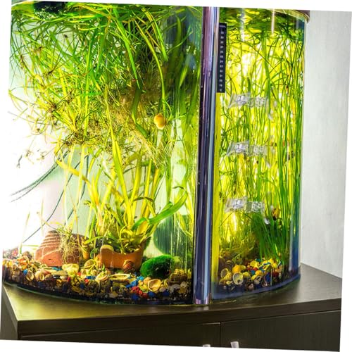 5pcs Aquarium Cup Clips for Seaweed Feeding Tool Fish Food Holder Design for Easy Installation and Fish Tanks