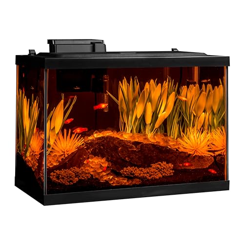 Tetra ColorFusion Aquarium 20 Gallon Fish Tank Kit, Includes LED Lighting and Decor
